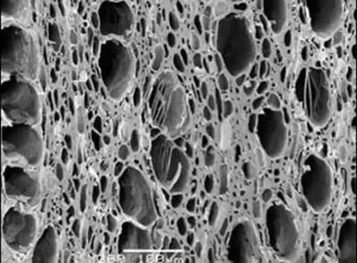 ����̿���ܶ�