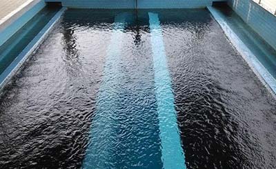 ����̿�^�V���A(y��)̎��