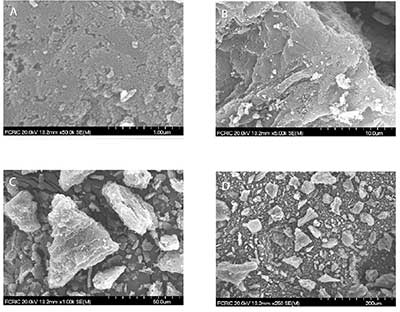 ����̿�����ȩ�y(c��)ԇ